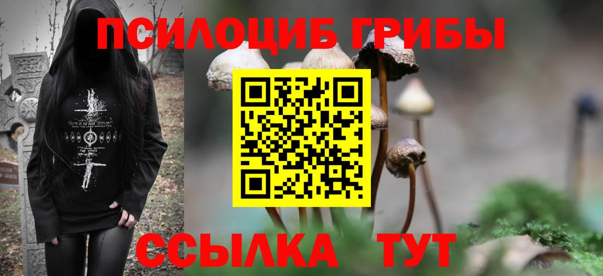 Галлюциногенные грибы прущие грибы  Вход с VPN  Псилоцибиновые грибы Magic Shrooms  Аргун 
