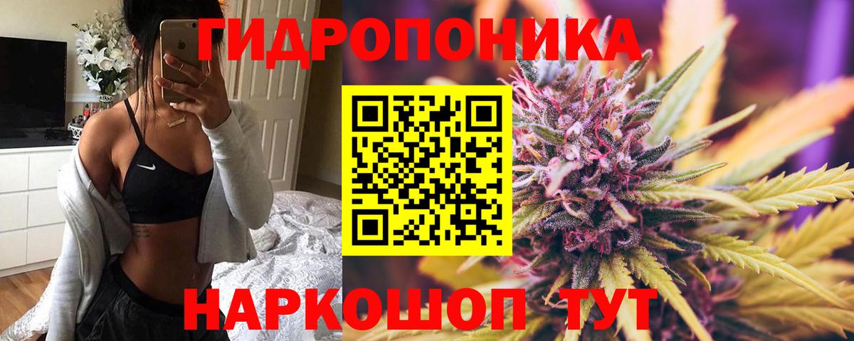 Канабис семена  Конопля AK-47  Бошки Шишки THC 21%  Вход с VPN  Аргун 